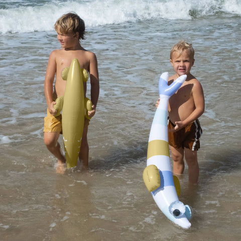 Kids Inflatable Noodle Set - Finn the Fish Multi