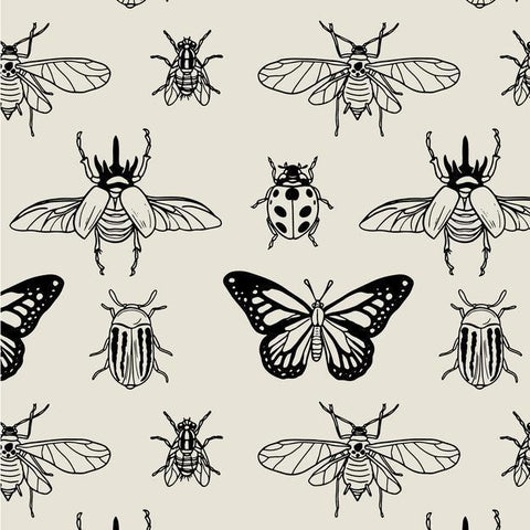 Bugs + Butterflies - Butterbugboutique