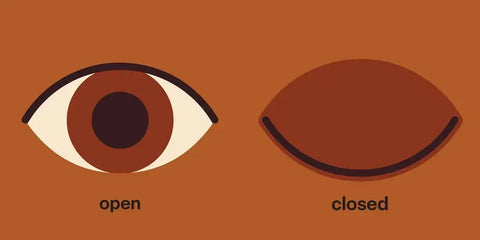 Spring Street Touch and Trace: Opposites by Boxer Books