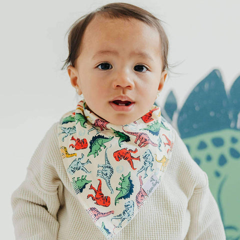4 Pack Baby Bandana Bibs - Jurassic Park