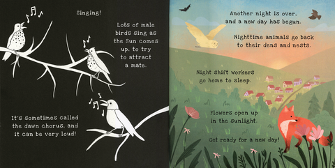 Shine-A-Light: Nighttime Book