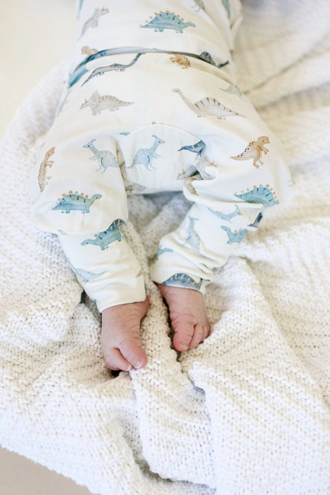 Snugglesaurus Bamboo Henley PJ Set