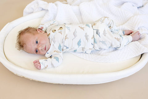 Snugglesaurus Bamboo Henley PJ Set