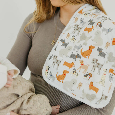Burp Cloth Set - Rufus