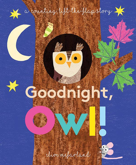 Goodnight, Owl! Board Book