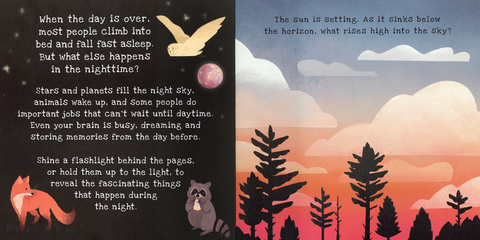Shine-A-Light: Nighttime Book