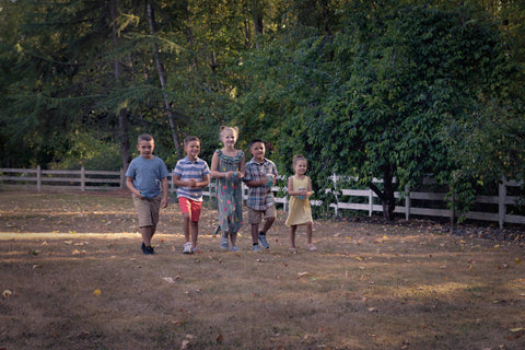 Chasing Fireflies Game