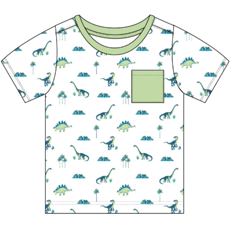 Kids Bamboo Tee Shirt - Dinosaurs