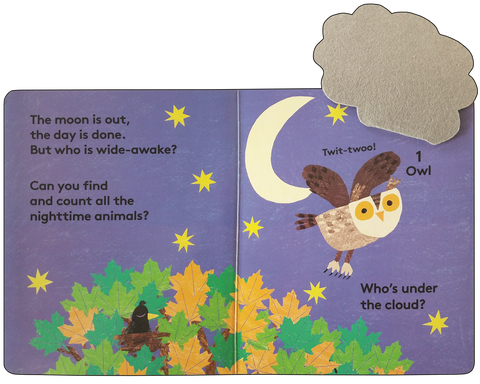 Goodnight, Owl! Board Book