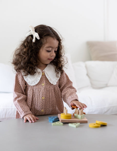 Geometric Shapes Sorting Puzzle