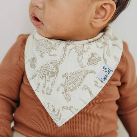 4 Pack Baby Bandana Bibs - Jurassic Park
