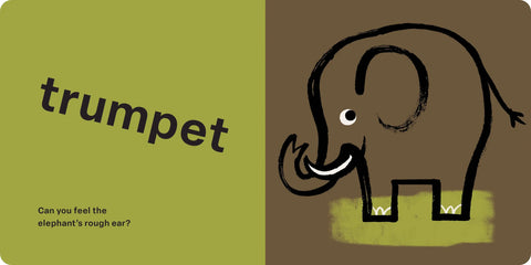 Spring Street Touch and Feel: Wild by Boxer Books