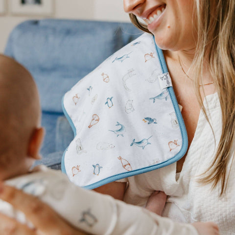 3 Pack Premium Burp Cloths - Arctic Wonder