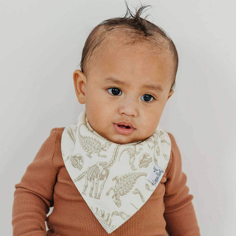 4 Pack Baby Bandana Bibs - Jurassic Park