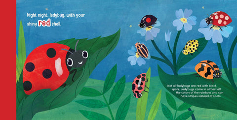 Night Night Ladybug