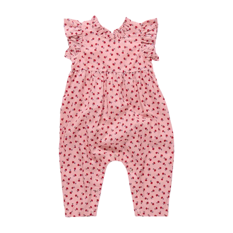 Baby Girls Jennifer Jumper Pink Tiny Roses – Butterbugboutique