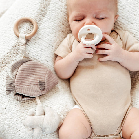 Angel Fish Handheld Rattle