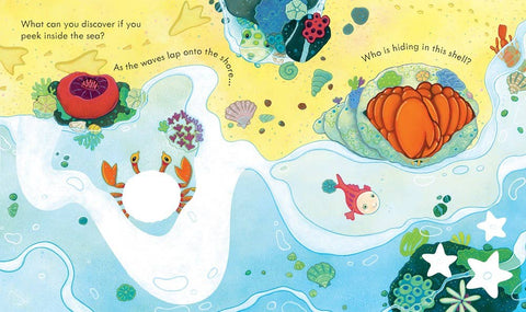 Peek Inside the Sea Board Book
