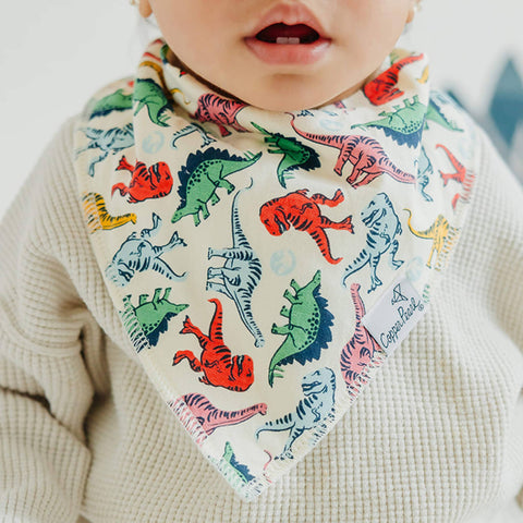 4 Pack Baby Bandana Bibs - Jurassic Park