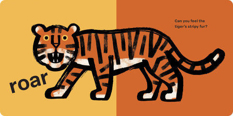 Spring Street Touch and Feel: Wild by Boxer Books