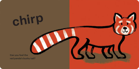 Spring Street Touch and Feel: Wild by Boxer Books