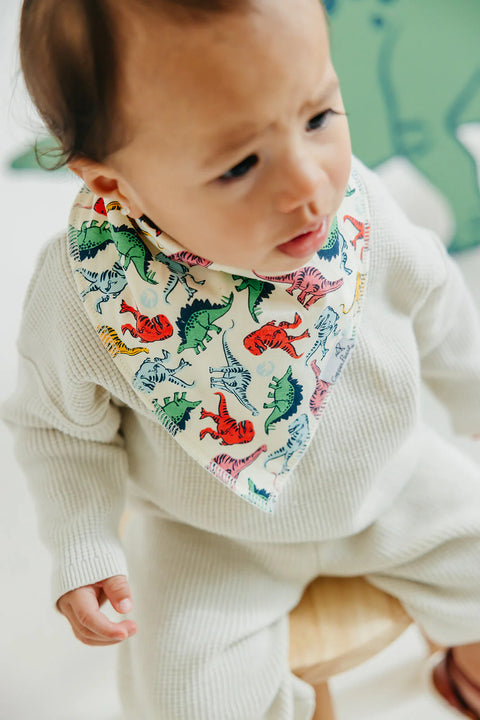 Baby Bandana Bibs - Jurassic Park - Copper Pearl