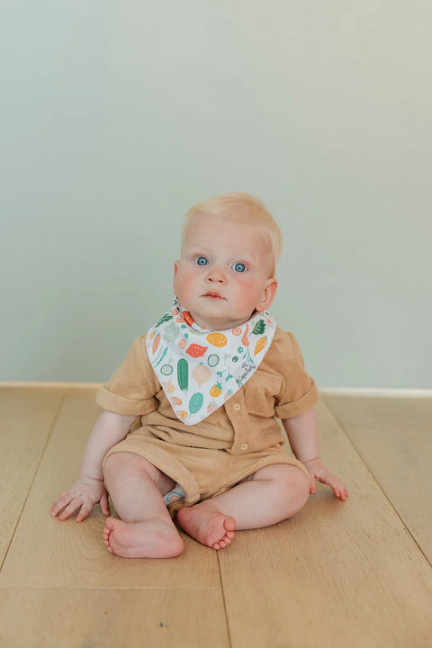 Baby Bandana Bibs - Veggies - Copper Pearl