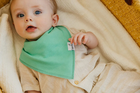 Baby Bandana Bibs - Veggies - Copper Pearl