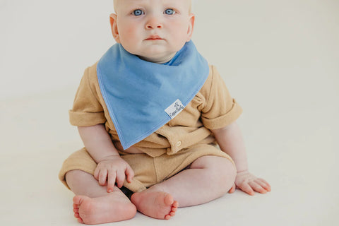 Baby Bandana Bibs - Veggies - Copper Pearl