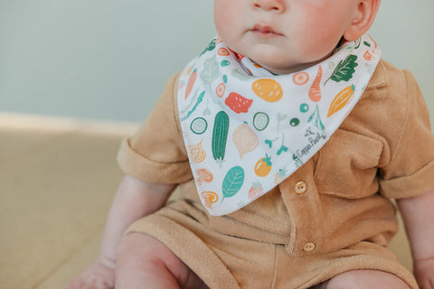 Baby Bandana Bibs - Veggies - Copper Pearl