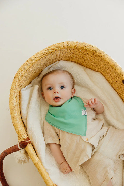 Baby Bandana Bibs - Veggies - Copper Pearl