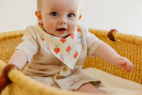 Baby Bandana Bibs - Veggies - Copper Pearl