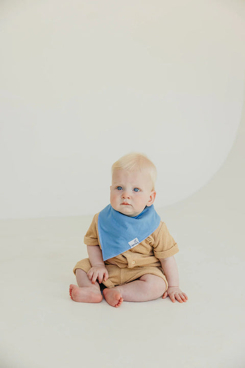 Baby Bandana Bibs - Veggies - Copper Pearl