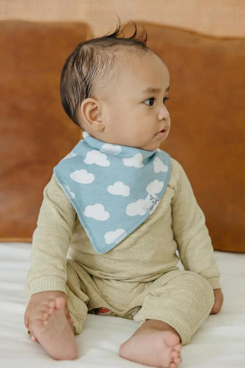 Bandana Bib Set - Farmstead - Copper Pearl