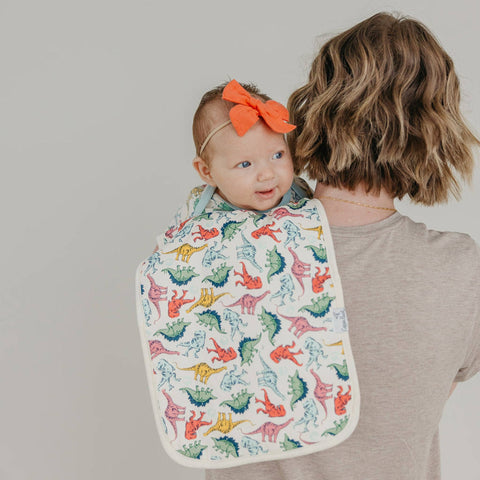 Burp Cloth Set - Jurassic Park