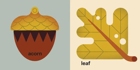 Spring Street Touch and Trace: First Words by Boxer Books