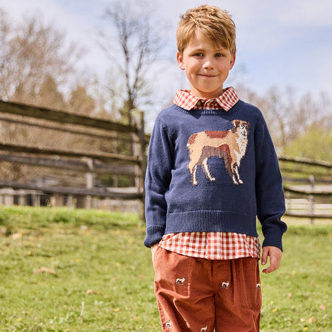 Boys Oliver Sweater - Happy Dog