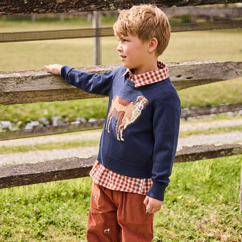 Boys Jack Shirt - Pony Gingham - Pink Chicken