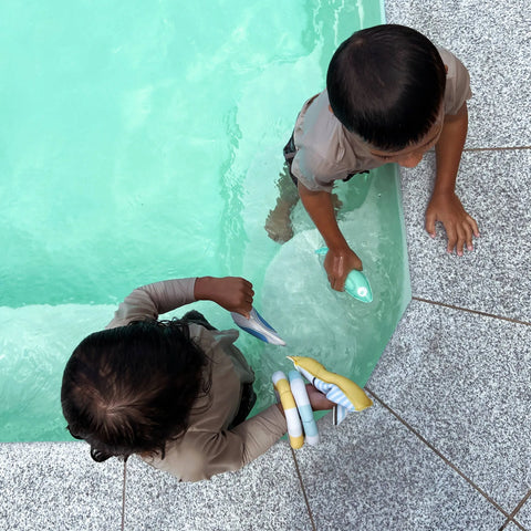 Dive Buddies Set - Sid the Seagull Multi