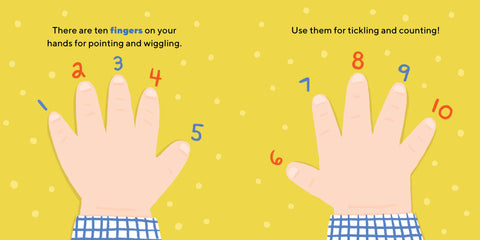 Eyes, Nose, Belly, Toes