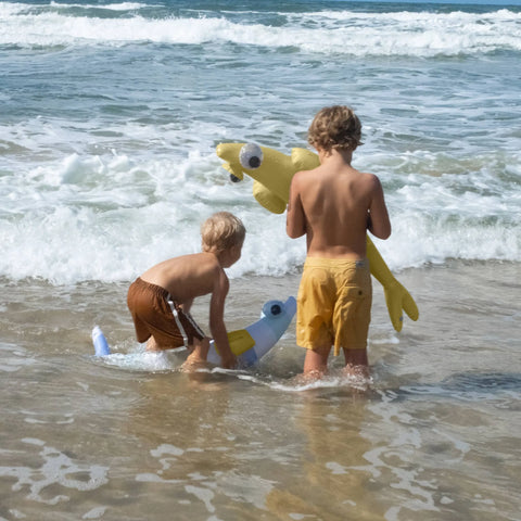 Kids Inflatable Noodle Set - Finn the Fish Multi