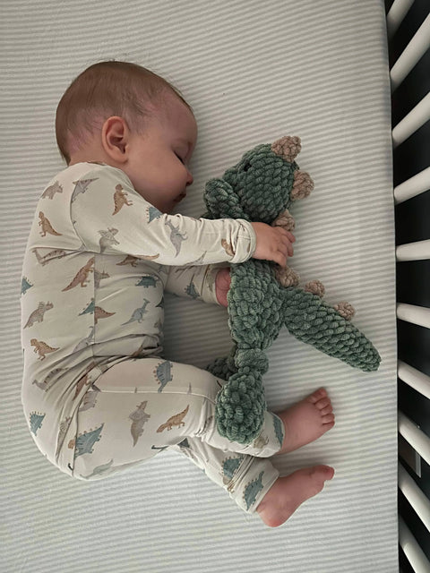 Snugglesaurus Bamboo Henley PJ Set