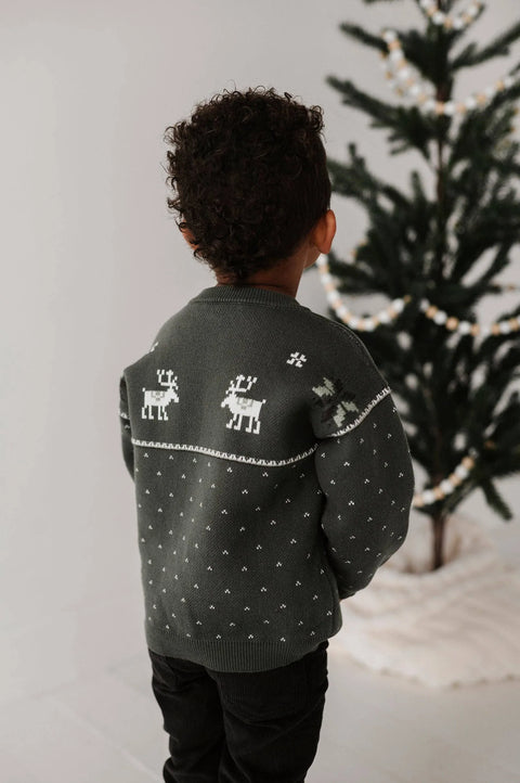 Knit Sweater - Moose