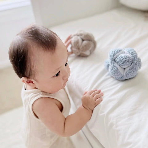 Montessori Puzzle Ball