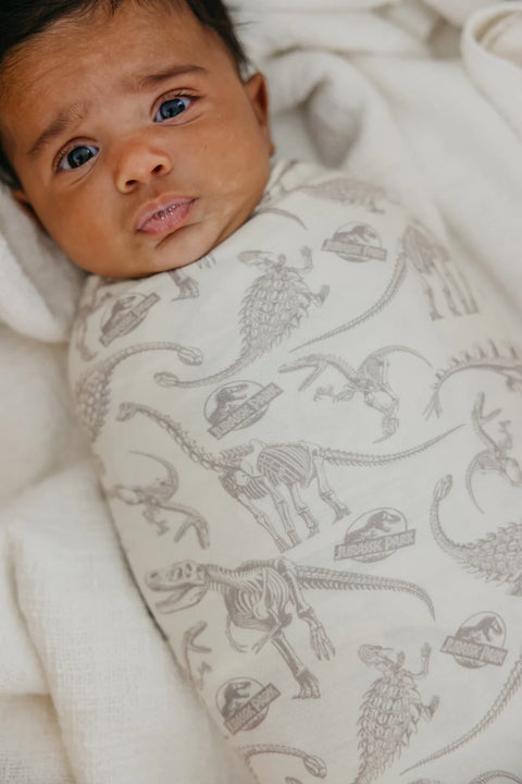 Knit Swaddle Blanket - Jurassic Park Fossils - Copper Pearl