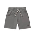 Rylee + Cru Oceanside Tech Shorts Grey