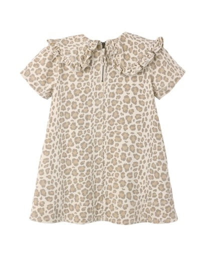 Collared Denim Mini Dress | Leopard