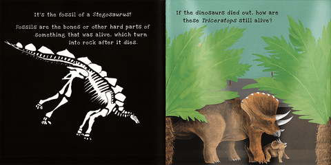 Shine-A-Light: Dinosaurs Book - EDC Publishing