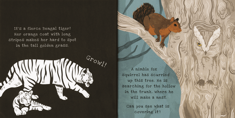 Shine-A-Light: Secrets of Animal Camouﬂage Book - EDC Publishing