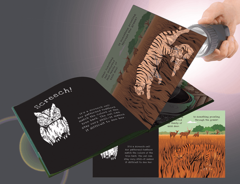 Shine-A-Light: Secrets of Animal Camouﬂage Book - EDC Publishing